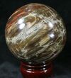 Colorful Petrified Wood Sphere #20642-1